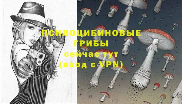 спайс Алзамай