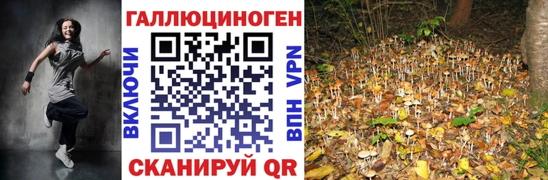 Псилоцибиновые грибы Magic Shrooms  hydra   Киселёвск 